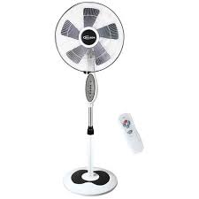 Delron Remote Fan
